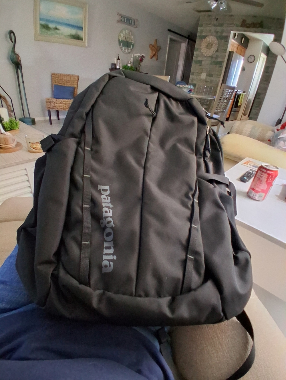 Nwot Patagonia Back Pack. Detail In Pics